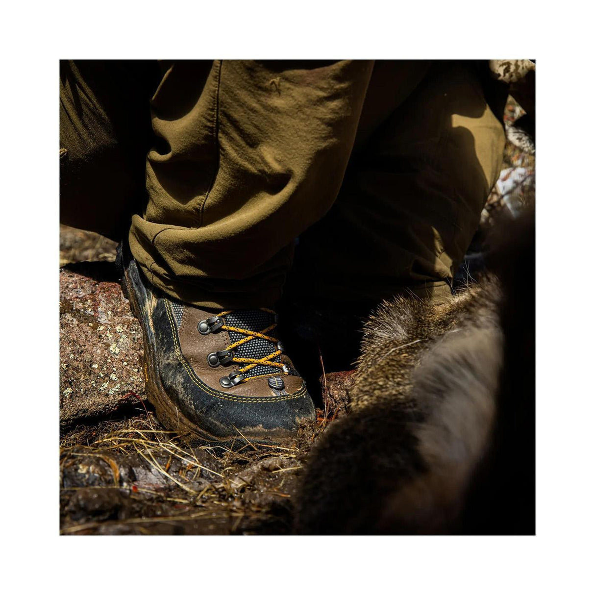 Lacrosse Ursa MS 7" Brown/Gold GTX 2