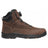 Danner Caliper BOA 6" Brown AL Boot 19420 Cover Image